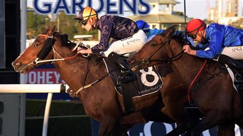 Dominic Beirne betting advice; Secrets to winning on .
